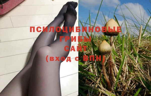 твердый Карпинск