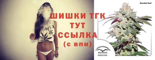 прущие грибы Касимов