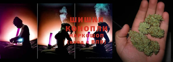 прущие грибы Касимов