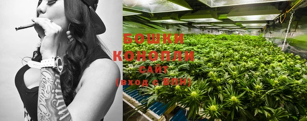 прущие грибы Касимов