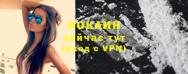 прущие грибы Касимов