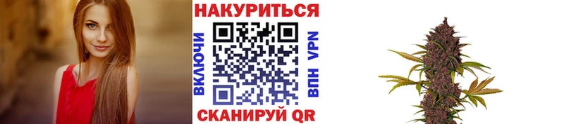 кракен рабочий сайт  Котово  Бошки марихуана сатива  как найти закладки 
